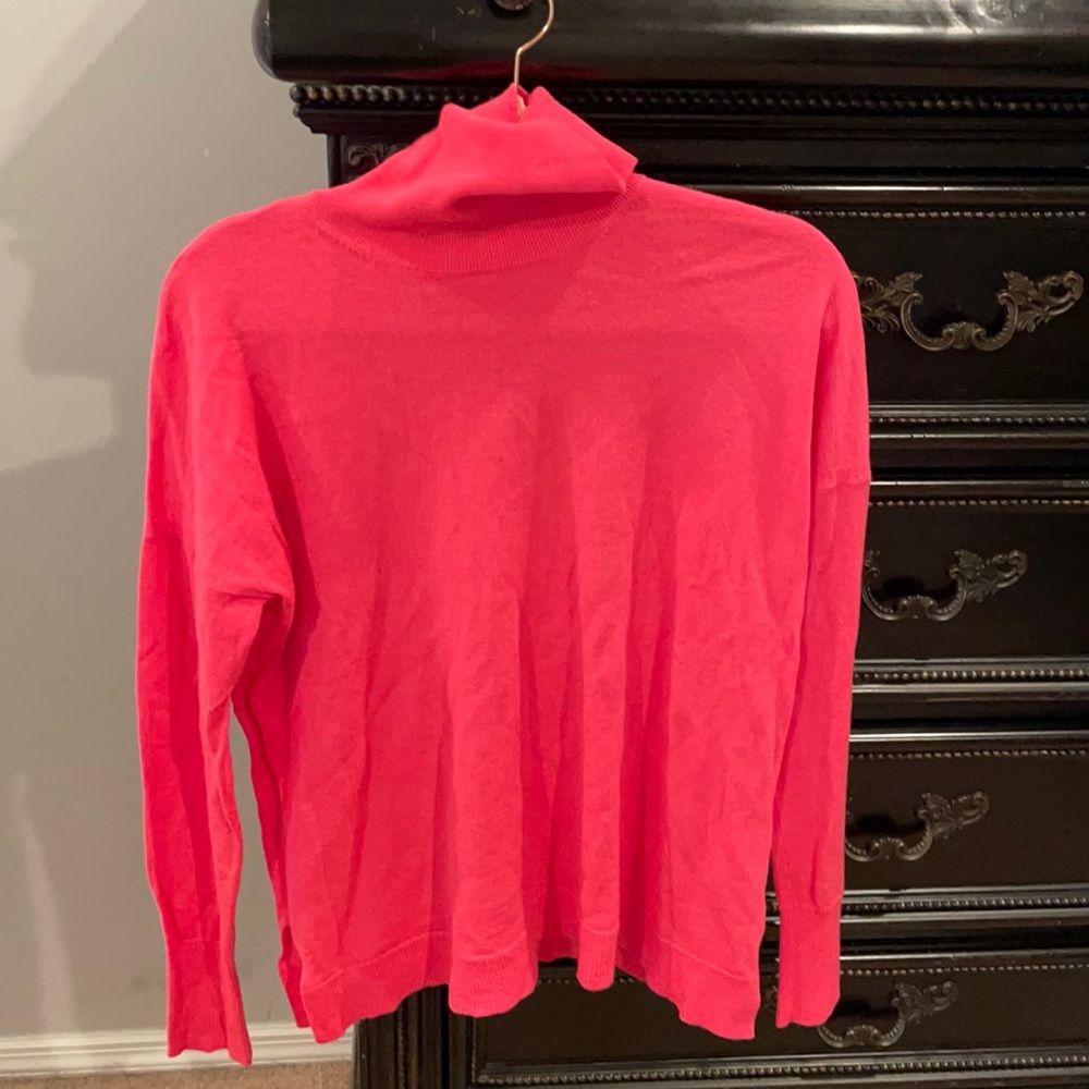 J.Crew turtle neck sweater